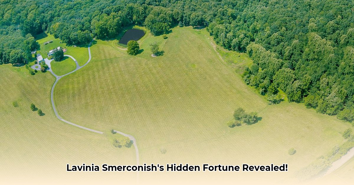 lavinia-smerconish-net-worth